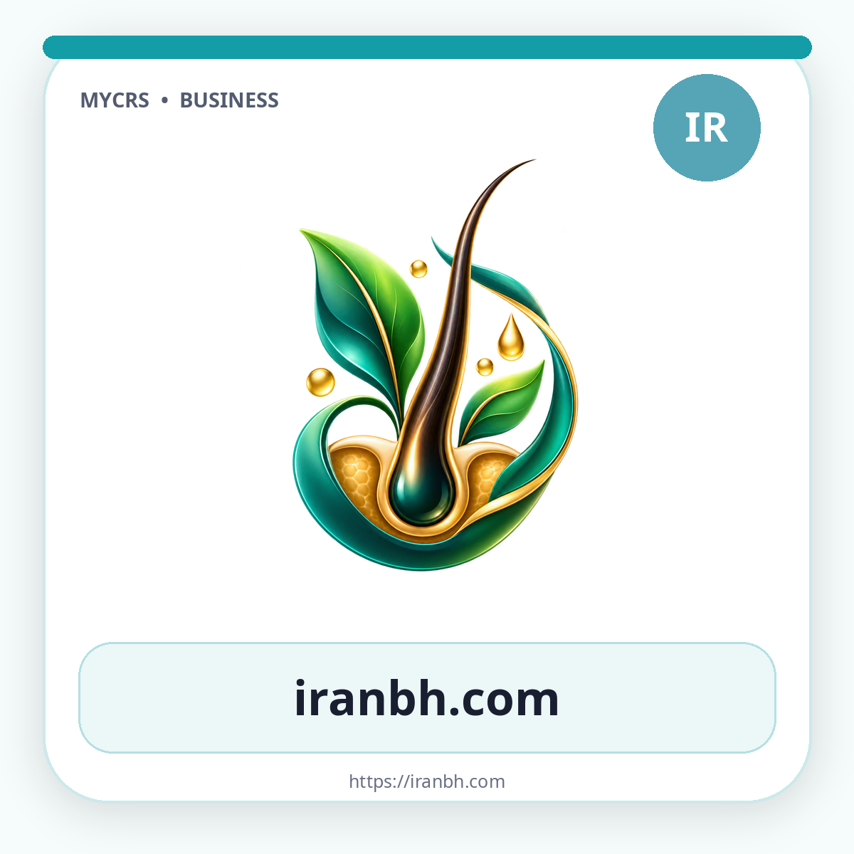 https://mycrs.ir/product/iranbh.com